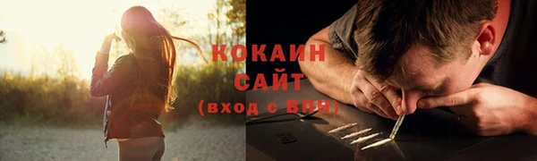 спайс Алексин