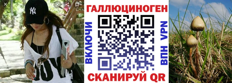 Галлюциногенные грибы Magic Shrooms Ялта