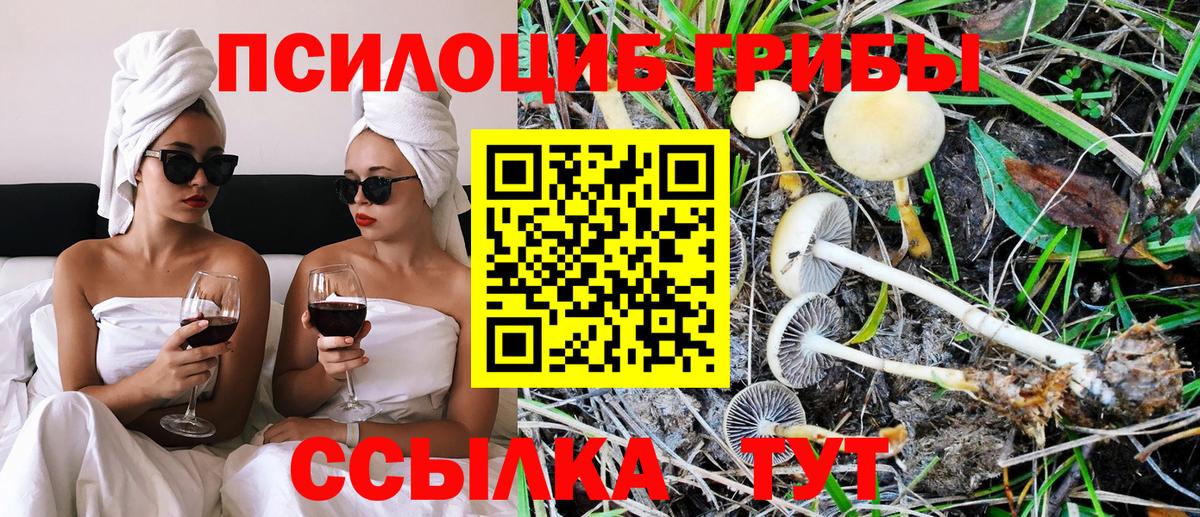 Псилоцибиновые грибы мицелий  Вход с VPN  Ялта  Галлюциногенные грибы ЛСД 