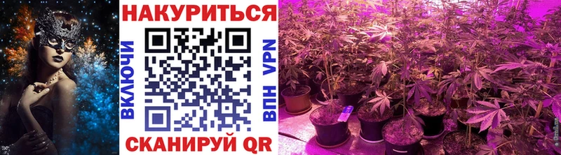 Бошки марихуана SATIVA & INDICA  купить наркотик  Ялта 